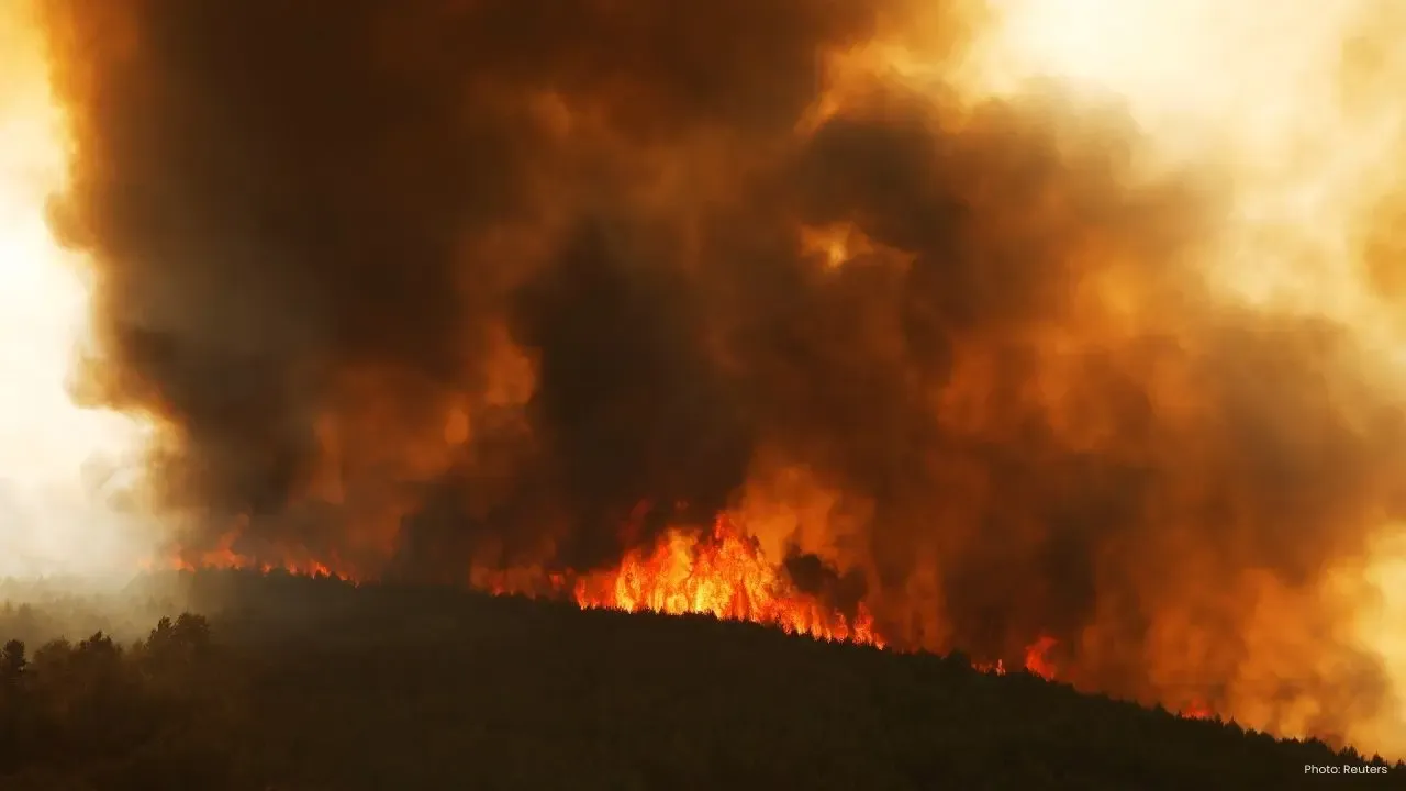 Spain Wildfire Kills 11 as Heatwave Fuels Deadly Blaze