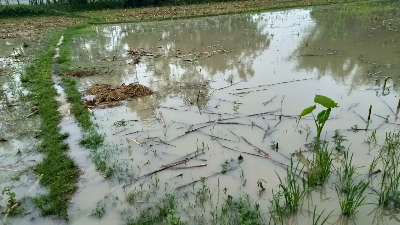 Bangladesh Flood Alert: 10 Districts Face Flash Flood Risk