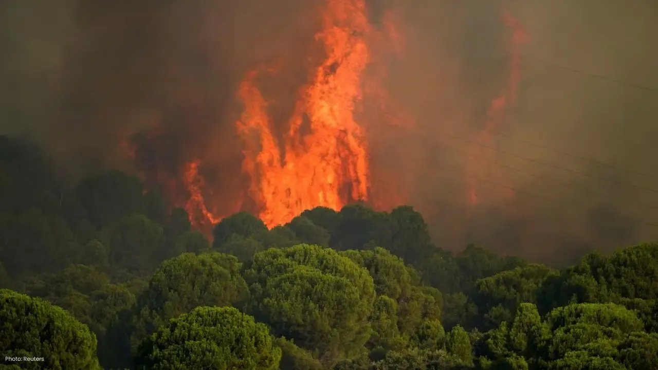 Bordeaux Faces Wildfire Threat as Europe Endures Scorching Heat