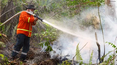 Wildfires Spread Near Indonesia's New Capital, Prompting Calls for Action